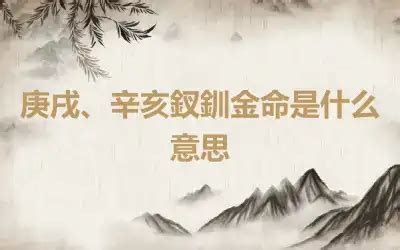 釵釧金命 意思|釵釧金命:出處,簡介,總論,庚戌,辛亥,